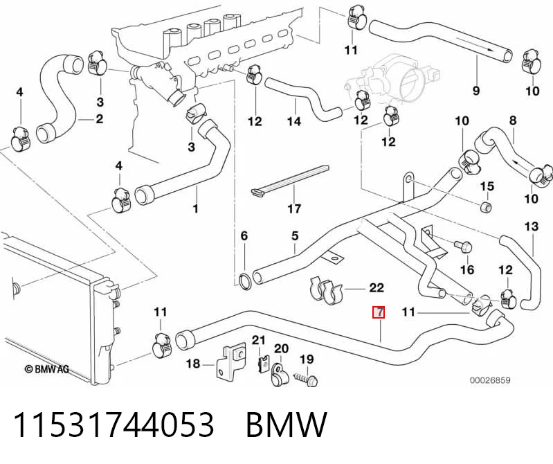 11531744053 BMW Шланг/патрубок радіатора охолодження, нижній