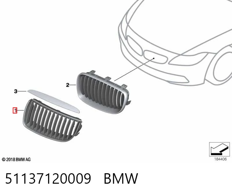 51137120009 BMW Решітка радіатора ліва
