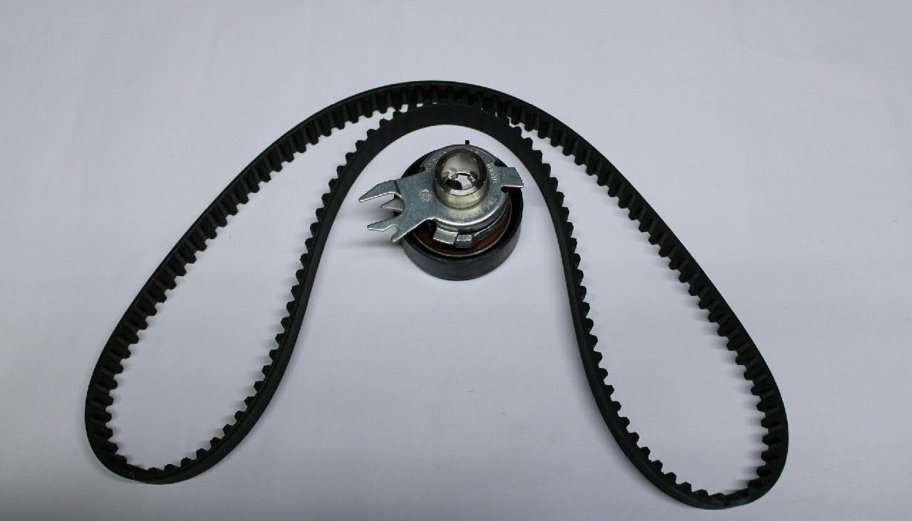 Комплект ГРМ 530019910 Polcar