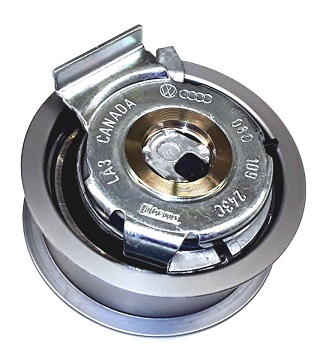 06D109243C VAG Ролик натягувач